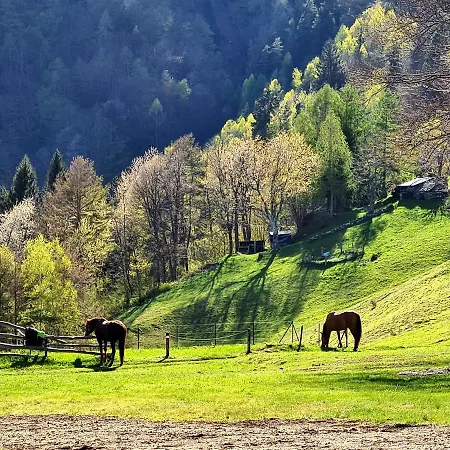 Rifugio Motti * Domodossola