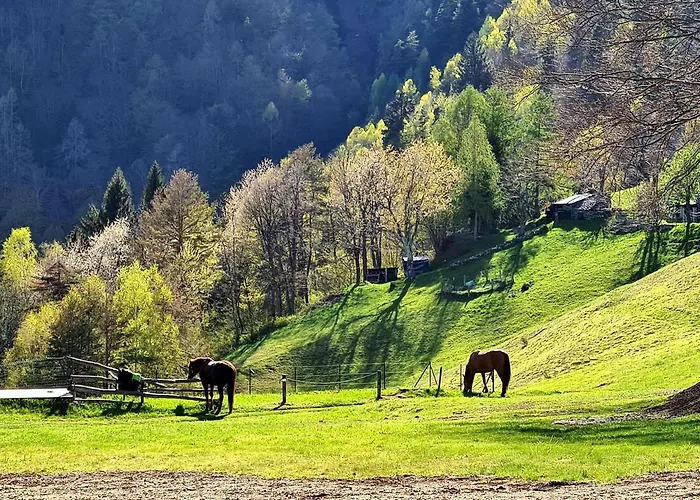 Rifugio Motti * Domodossola